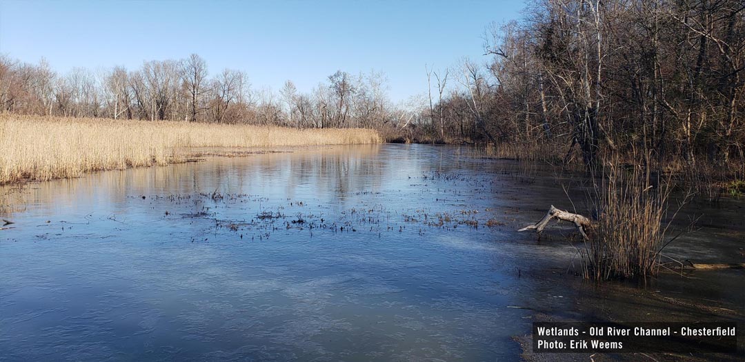 Wetlands at the old River Channel near Dutch Gap Chesterfield